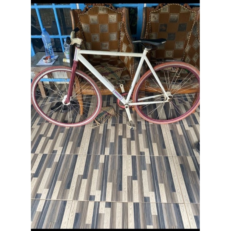 soloist 02