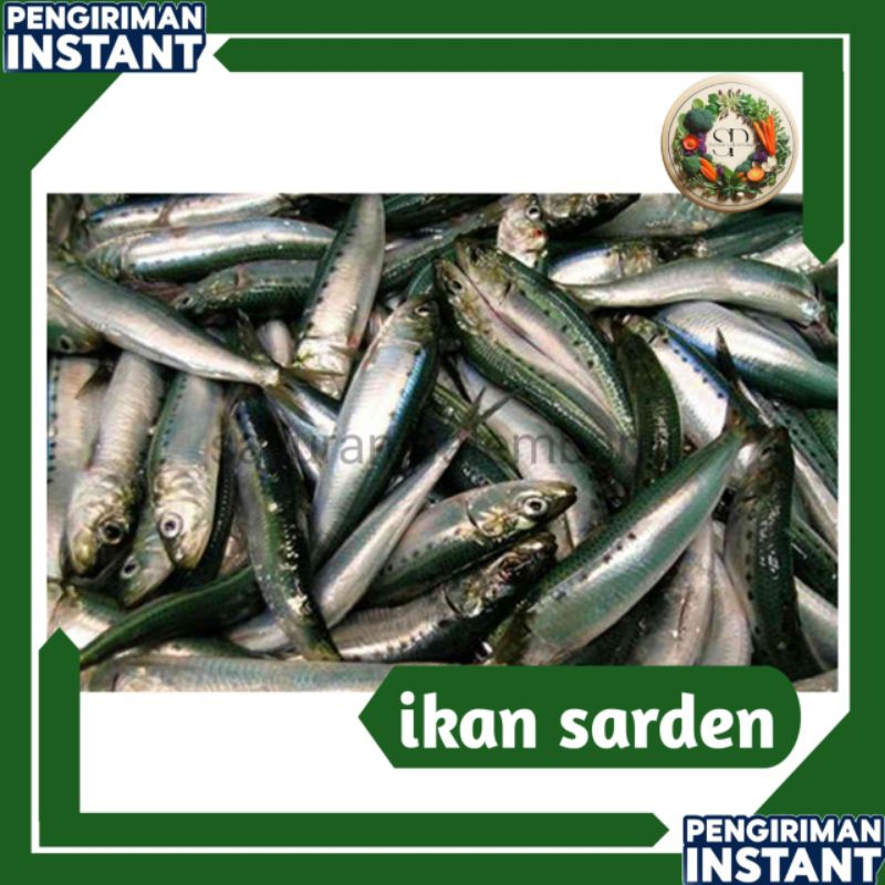

ikan sarden - sayuran palembang