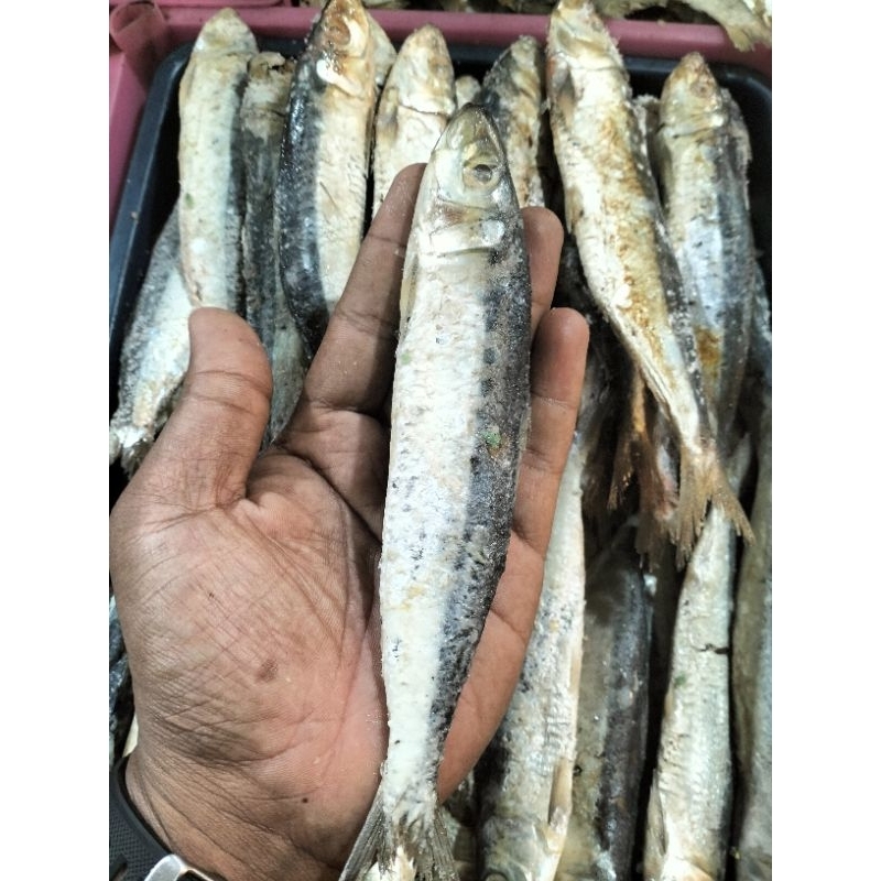 

japuh siro 100 gram