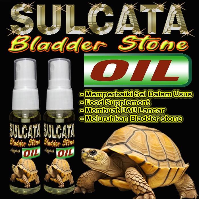 SULCATA BLADDER STONE OIL  FOOD SUPLEMEN VITAMIN ANTI CACING MELANCARKAN PENCERNAAN TORTOISE OBAT ME