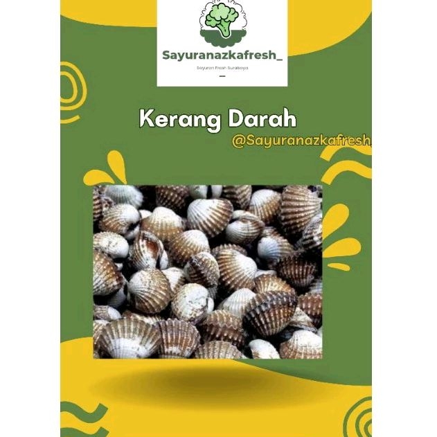 

Kerang Dara Segar [±1kg]