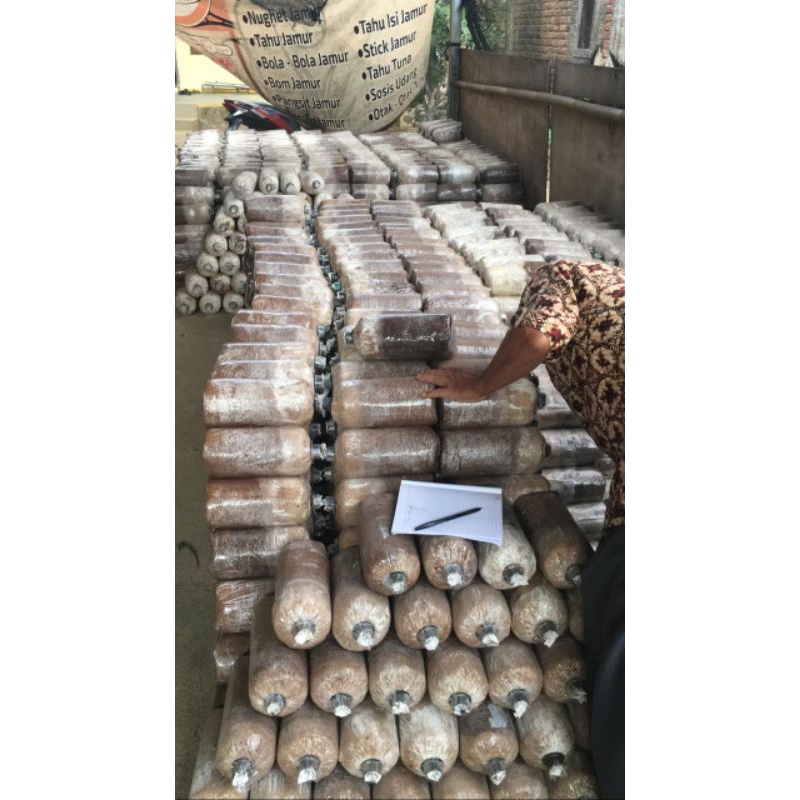 

Media jamur tiram coklat