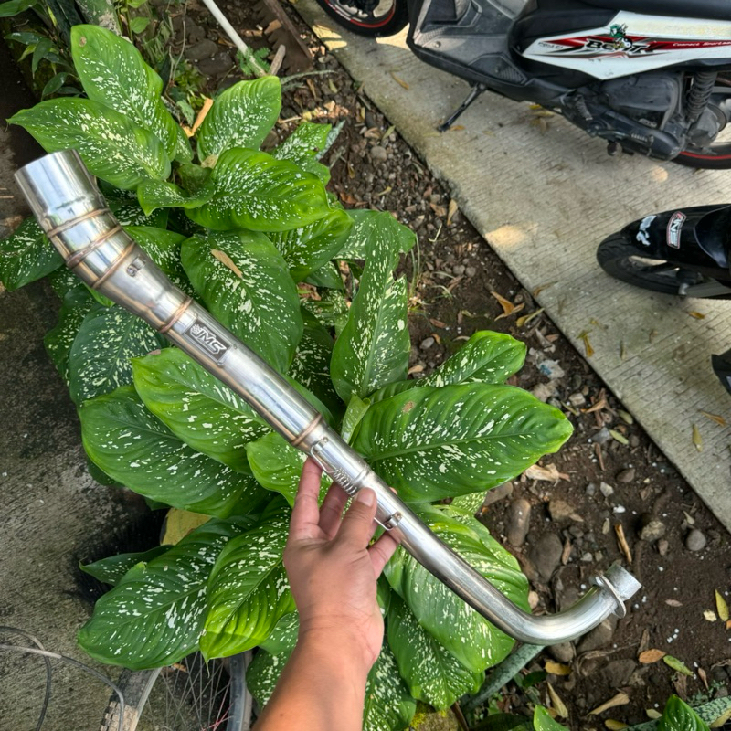 leher knalpot jms original d 50 for supra x 125 .karisma .blade