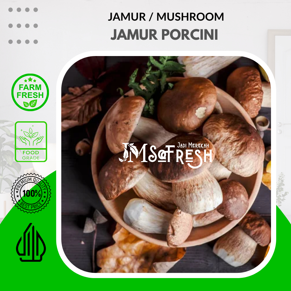 

[JM_SoFresh] Jamur Porcini / Porcini Mushroom