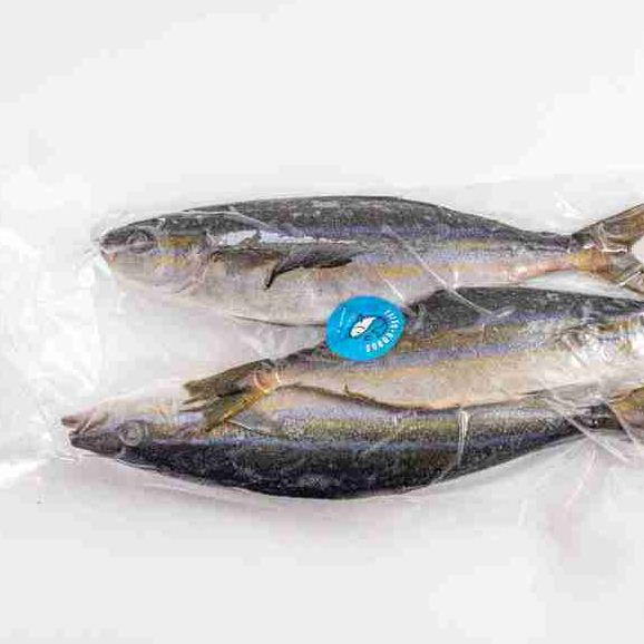 

RB Ikan Salem Laut Segar Dijamin SEGAR dan BERKUALITAS By FreshGoods Jakarta Barat