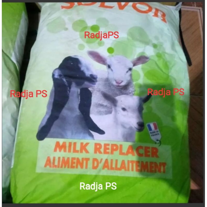 Solvor Susu Hewan Vitamin Kalsium Gizi Lengkap Untuk Anakan Ruminansia Domba Kambing Sapi Kerbau