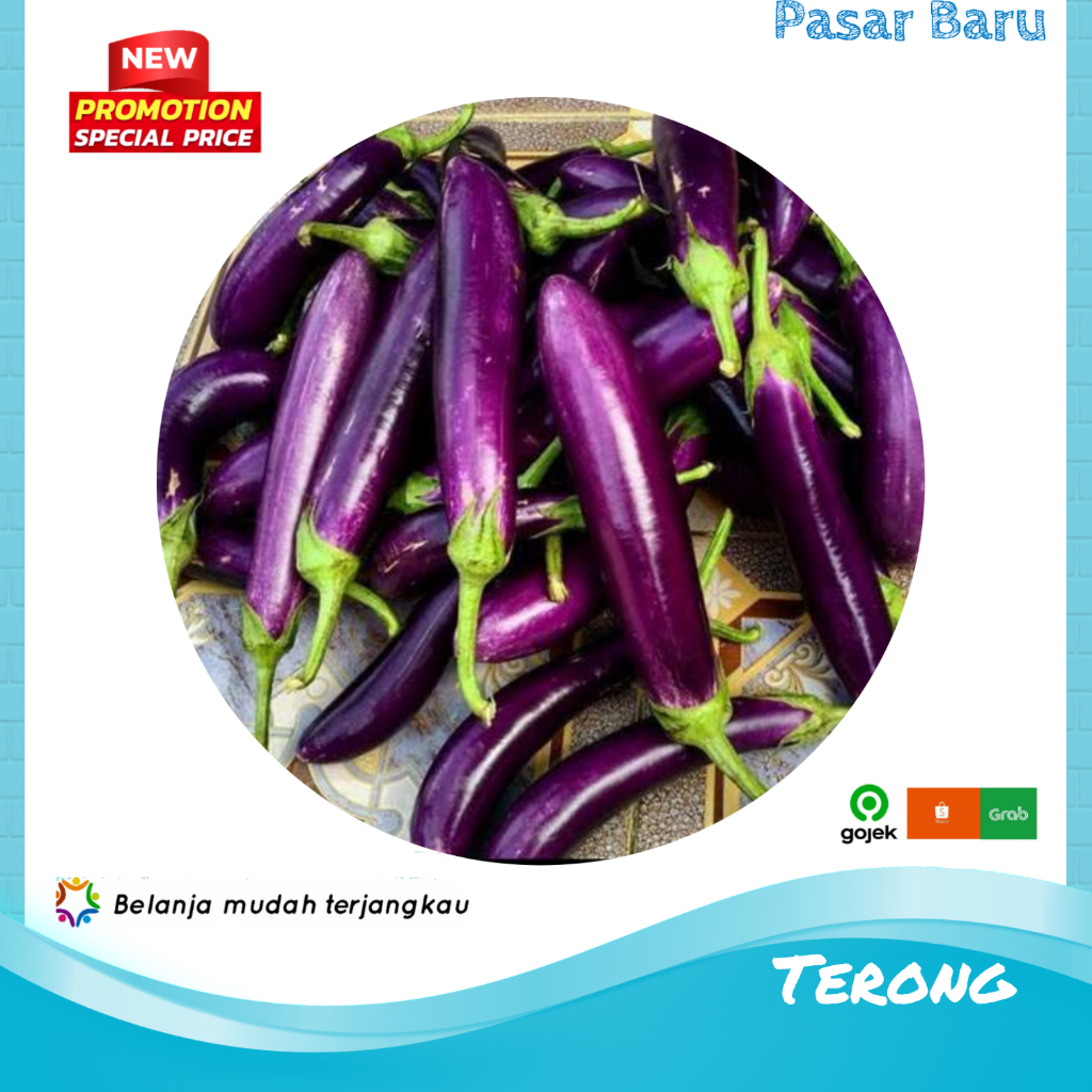 

Terong • 3Biji ✓ Murah | Pasar Baru Makassar