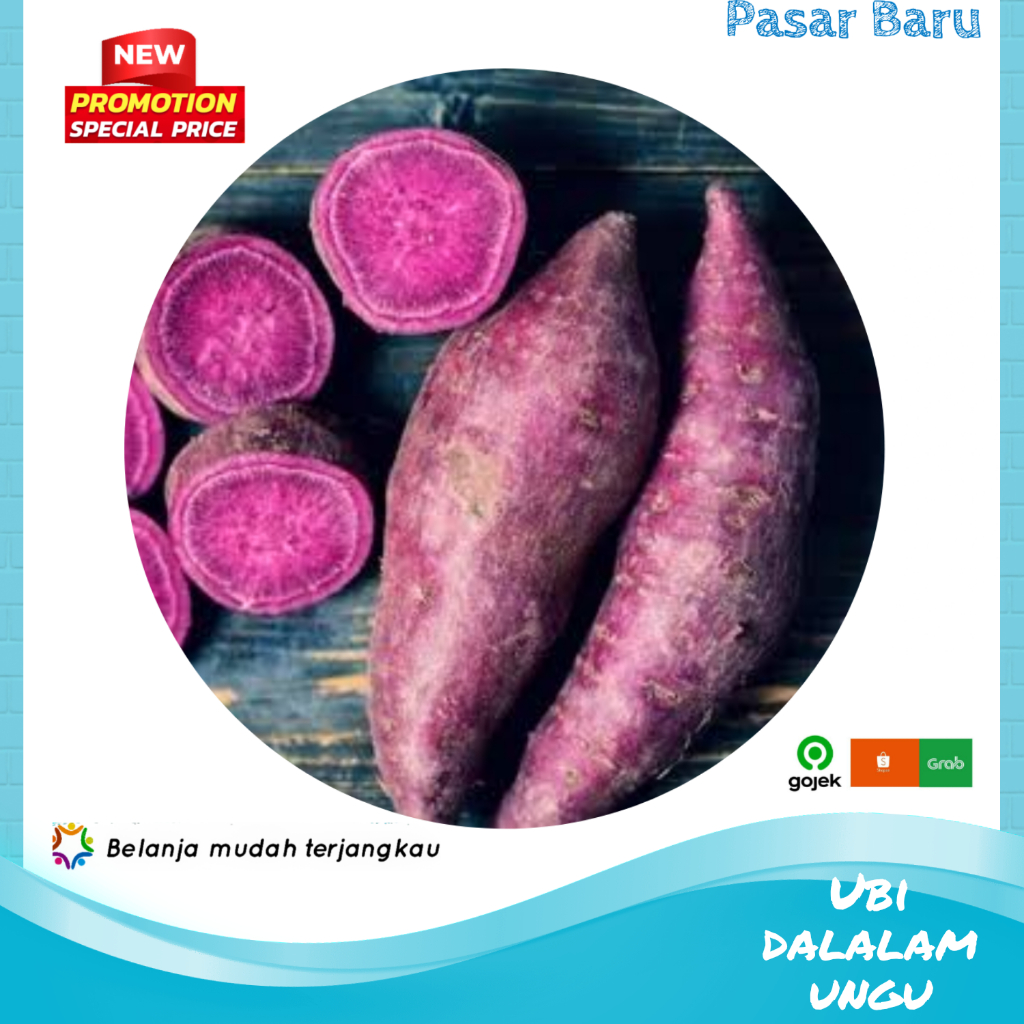 

Ubi Dalaman Ungu • Murah | Pasar Baru Makassar