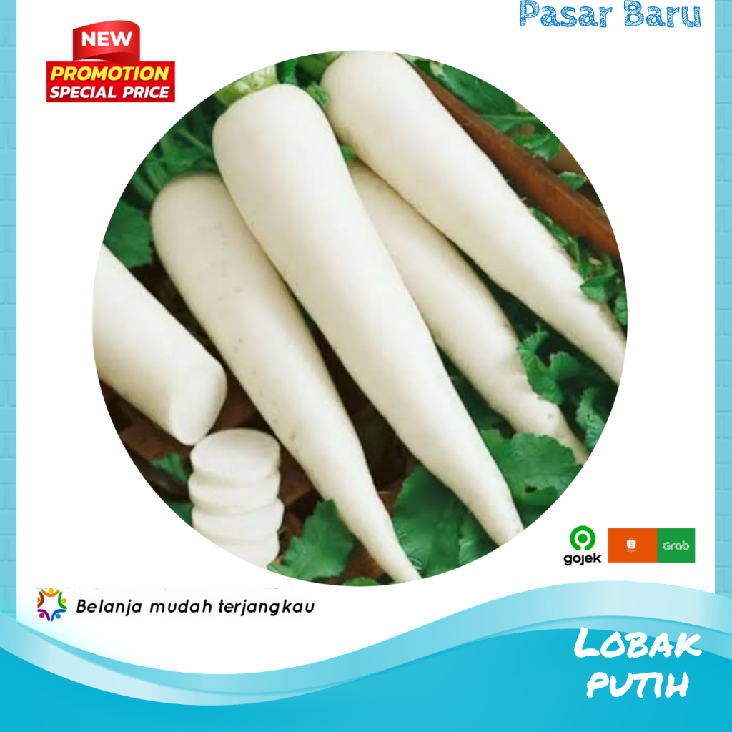 Lobak Putih • 500gram ✓ Murah | Pasar Baru Makassar