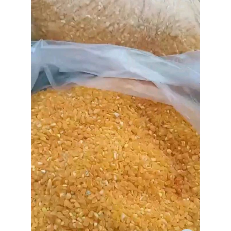 

Beras Jagung Asli kemasan 500 gr