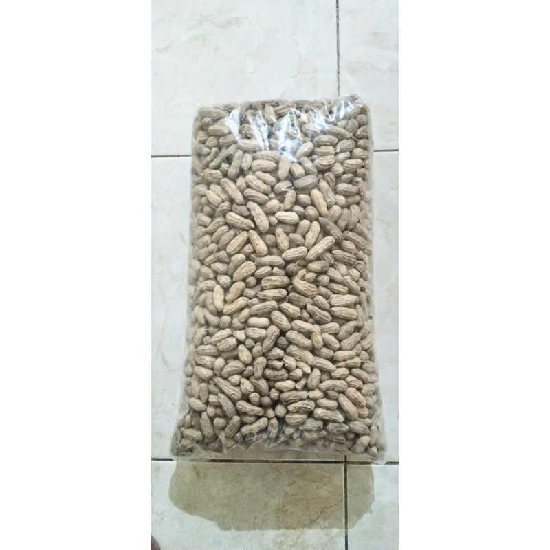 

KACANG SANGRAI