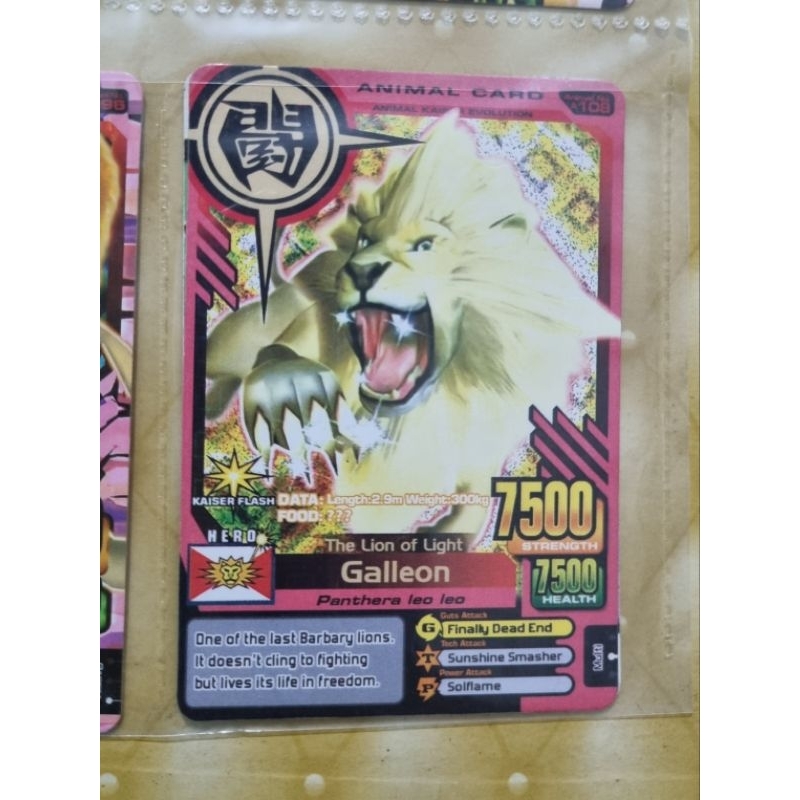 PRELOVED ORI kartu main Animal Kaiser Rare GALLEON Collector MURAH