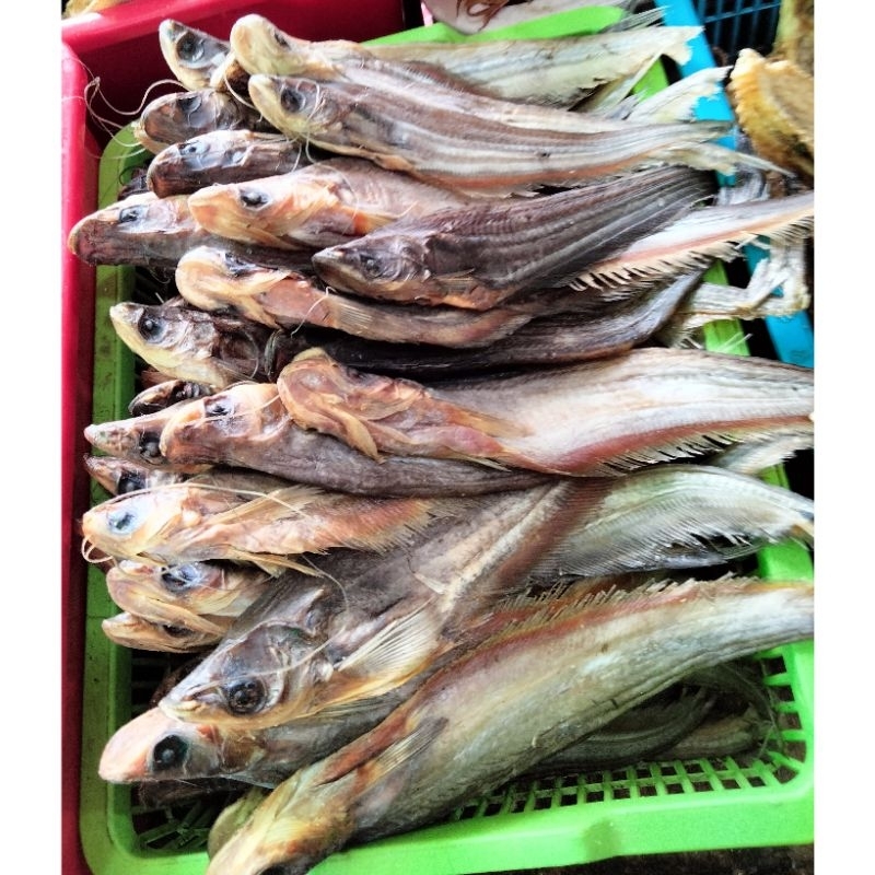 

Ikan Asin Lais Kalimantan / Ikan Asin Laes / Ikan Asin Pontianak / Ikan Asin Tembiring / Ikan Asin Kalimantan Barat / Ikan Asin Murah