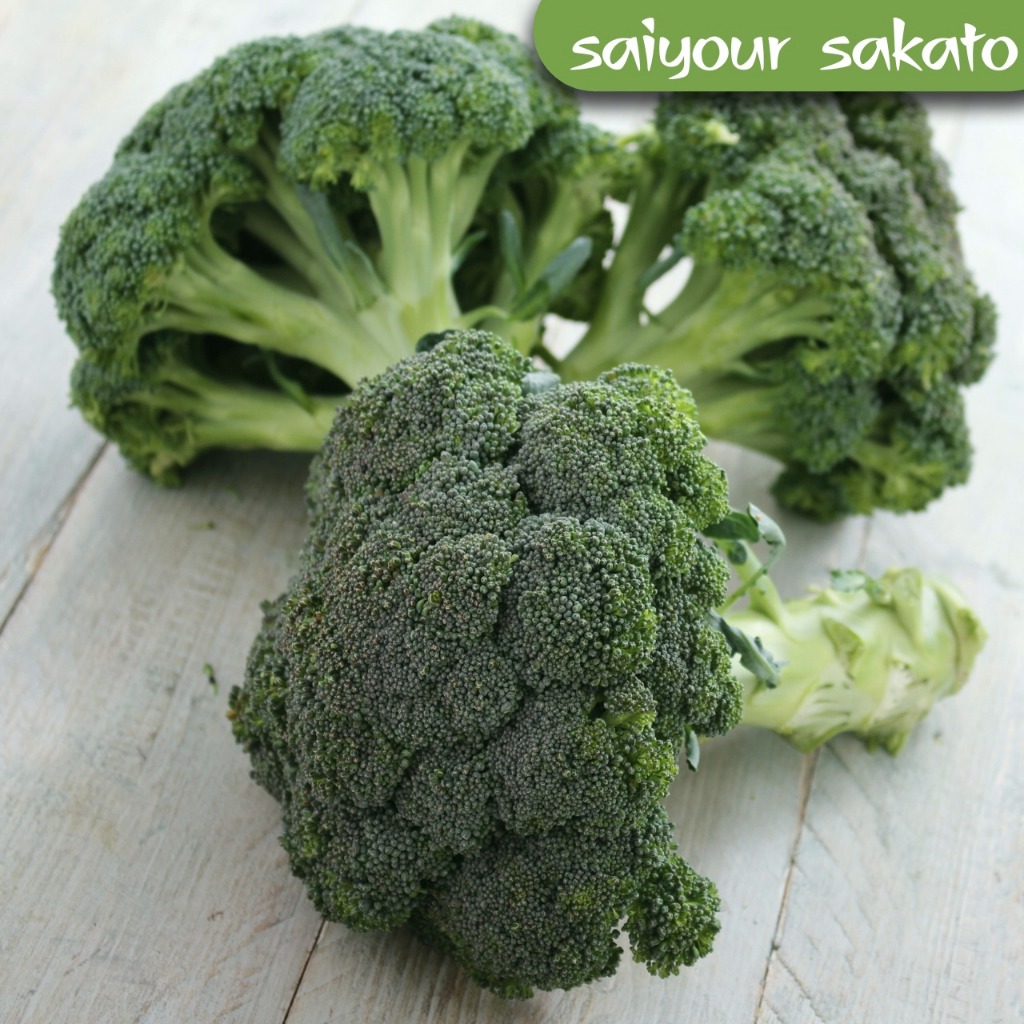 

Brokoli Segar - Saiyour Sakato