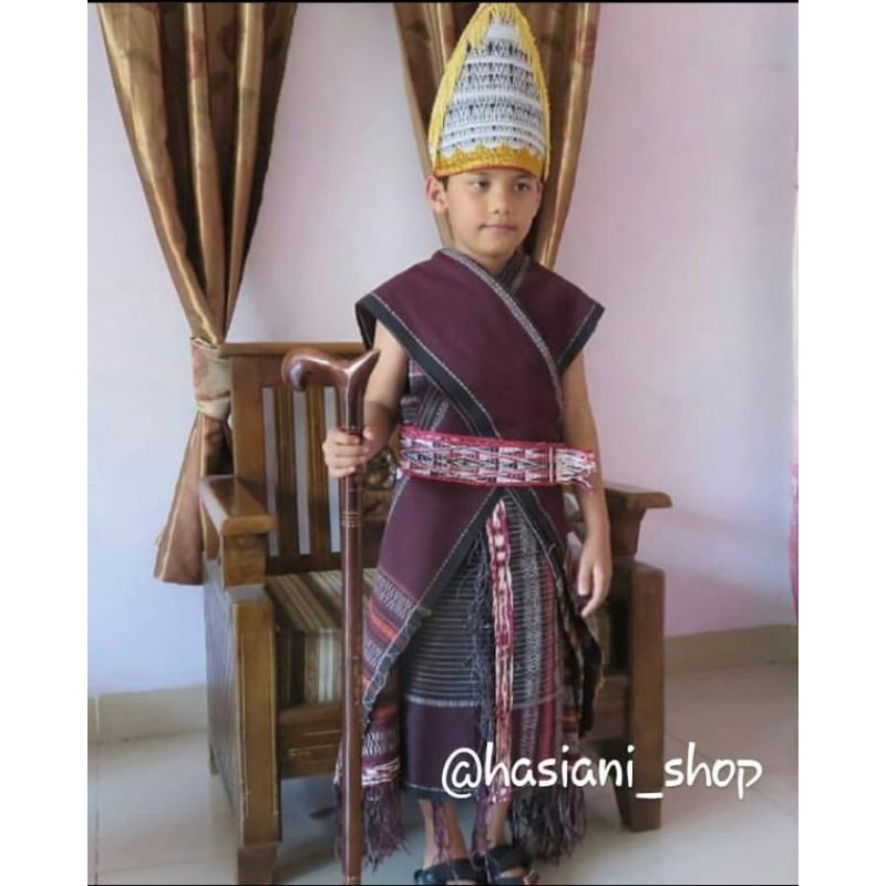 Adat Batak Ulos Baju Adat Batak Ulos Anak Laki-Laki Set Lengkap Kostum Tradisional untuk Acara Buday