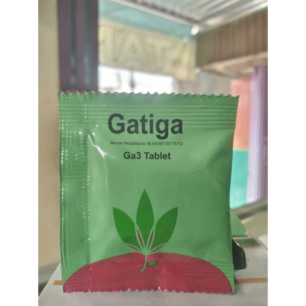 GATIGA TABLET GA3 ZPT