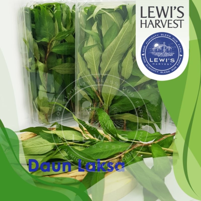 

LAKSA LEAF 20 gram
