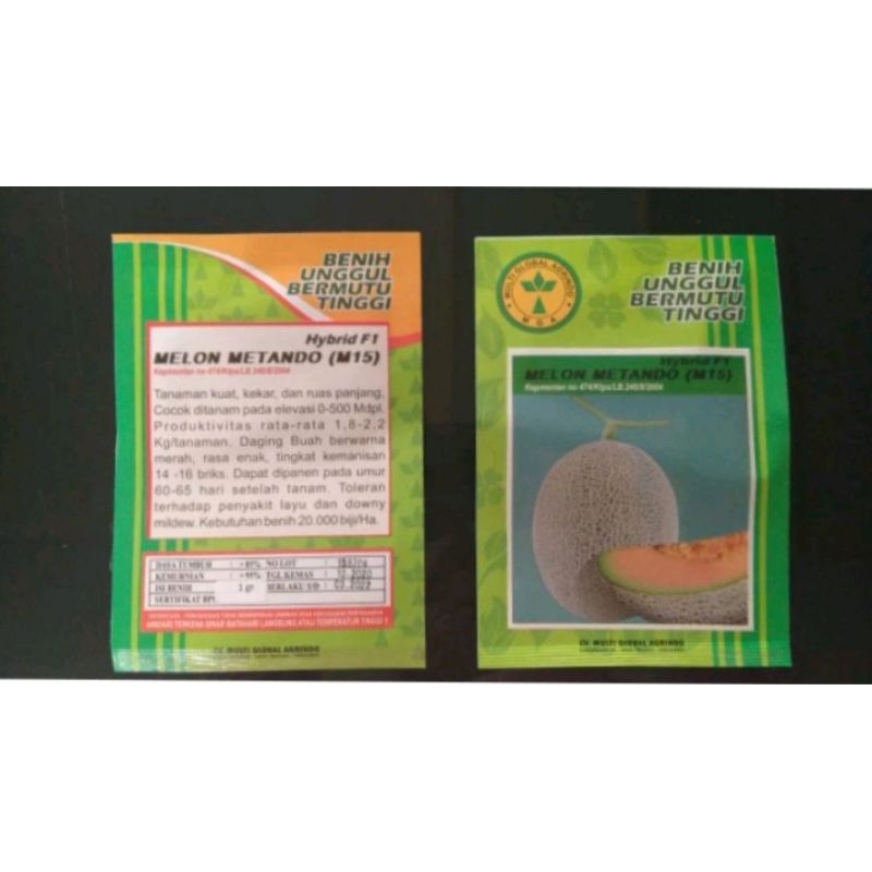 (BIBIT UNGGUL BERMUTU TINGGI)MELON METANDO (M15)