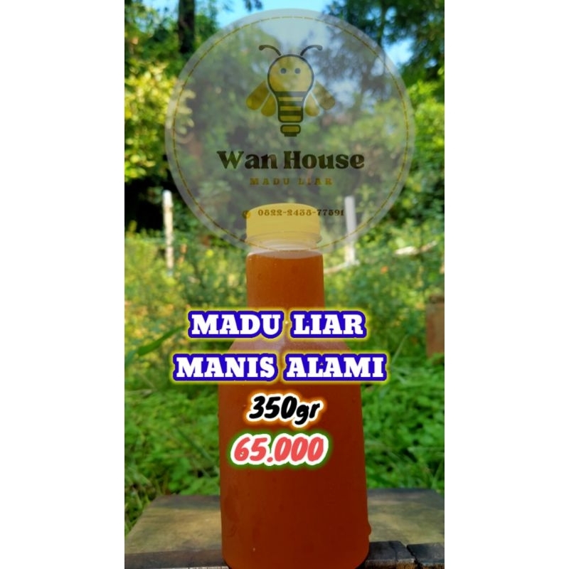 

MADU MANIS DORSATA 350gram MURNI TANPA CAMPURAN