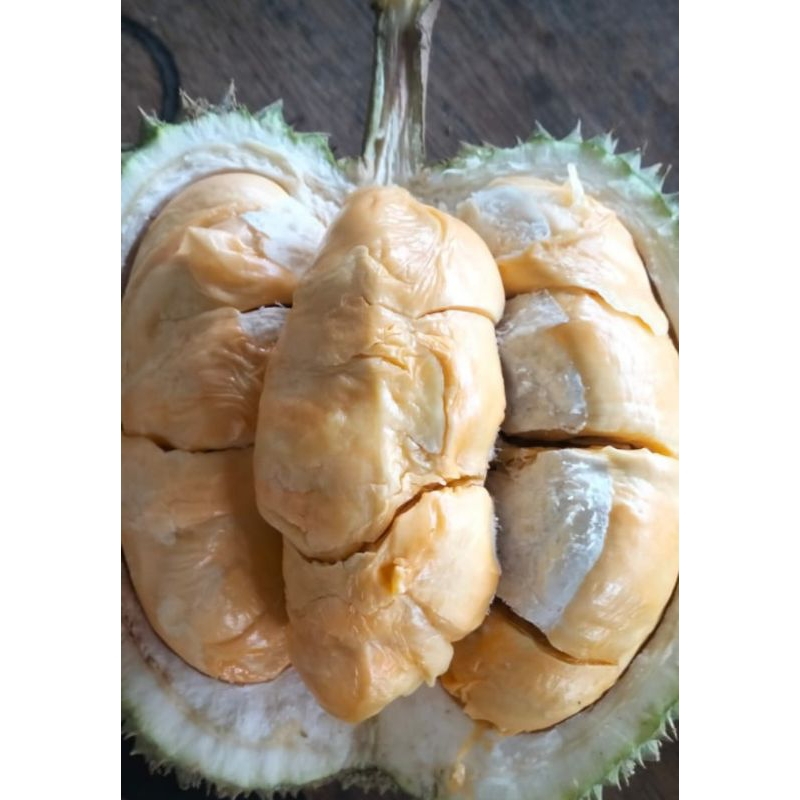 

durian lokal premium,Montong dan bawor