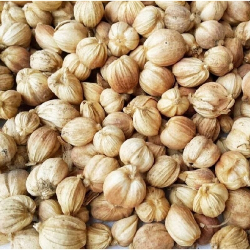 

Kapol laga kering 100-250 gram