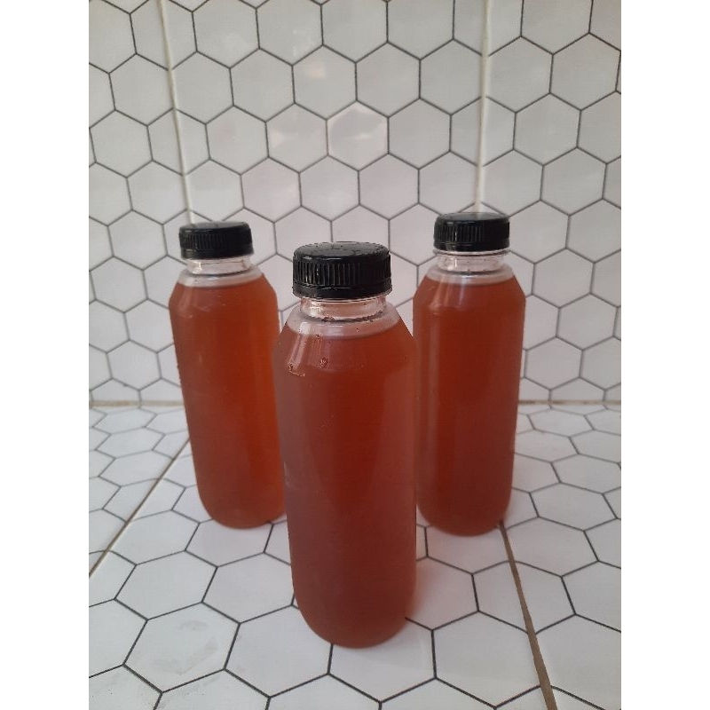 

Kombucha Minuman Fermentasi