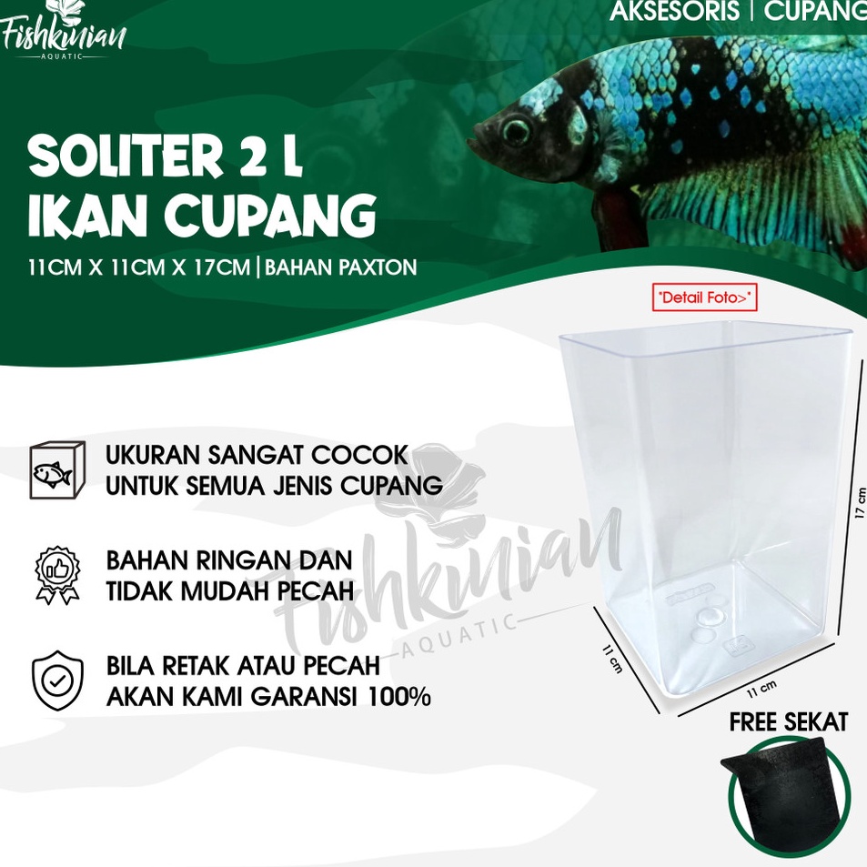 Grosir Merakyat  AQUARIUM AKRILIK PAXTON 17x11x14 plt