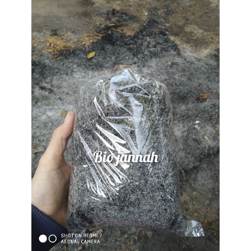 abu merang murah 500 gr