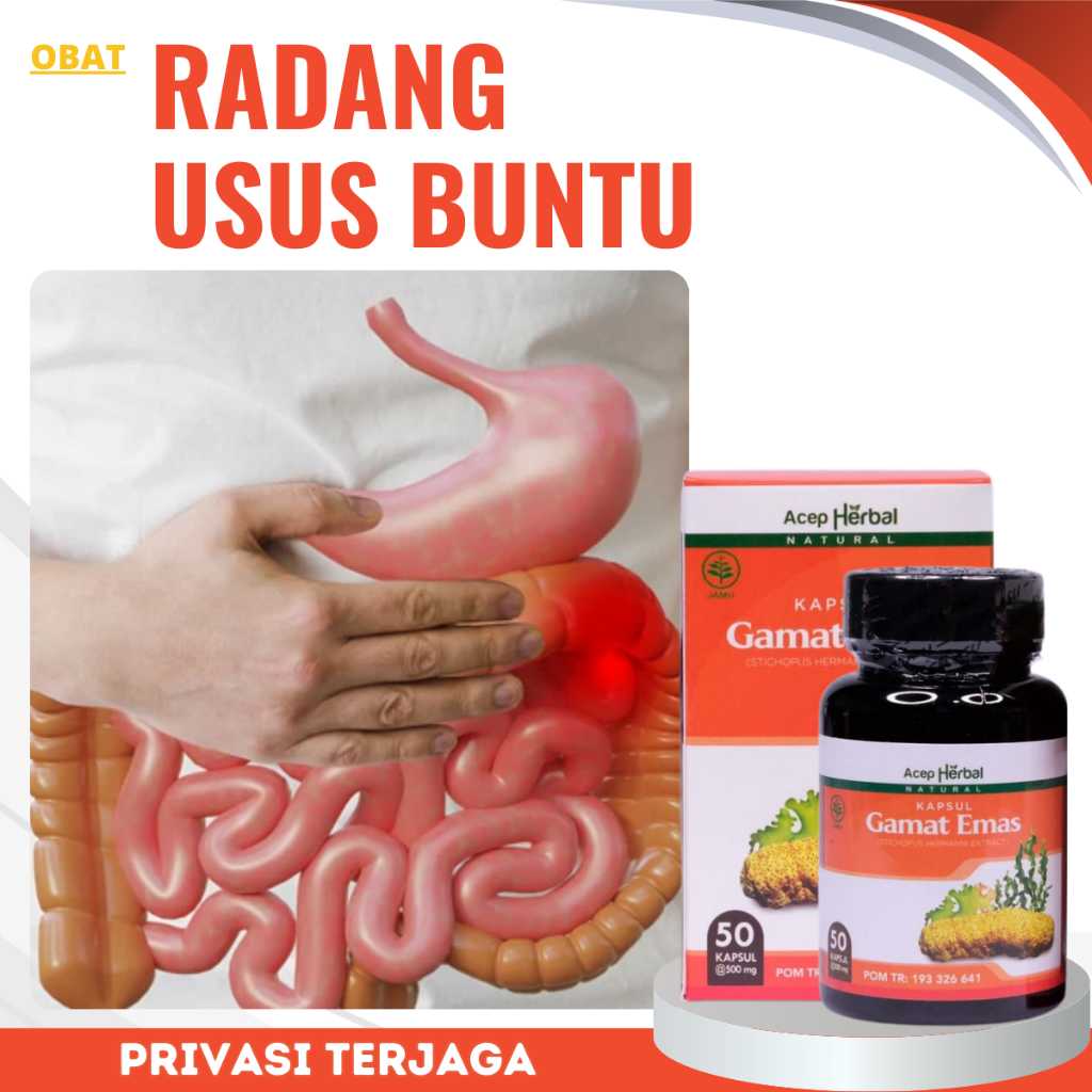 Obat Radang Usus Buntu, Obat Infeksi Usus, Obat Radang Usus, Obat Usus Luka, Obat  Usus Bocor, Obat 