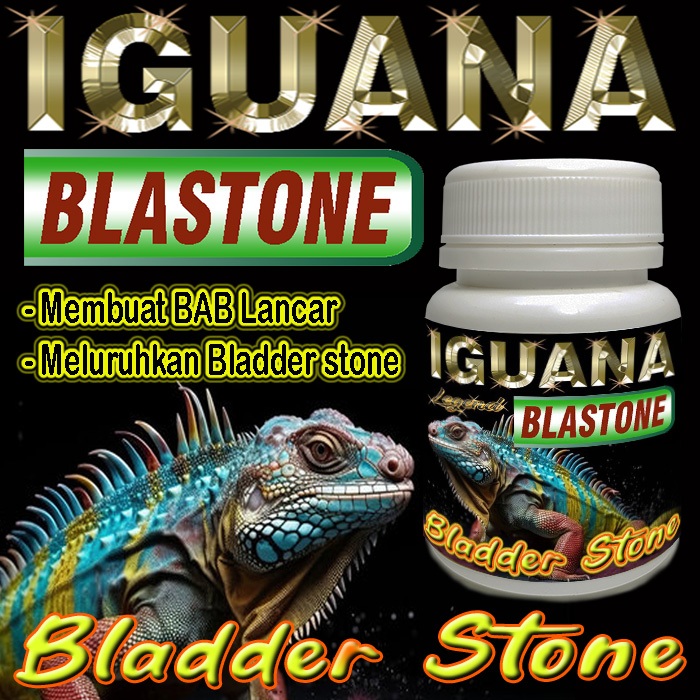 IGUANA BLASTONE KAPSUL OBAT MELURUHKAN URATES REPTILE  BLADER STONE BS IGUANNA BATU HIJAU BLUE DIAMO