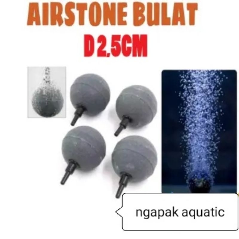 batu airator bulat / airstone bulat / batu gelembung udara aquarium