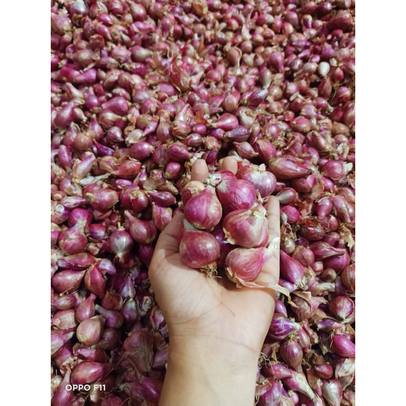 

BAWANG MERAH lokal 1kg