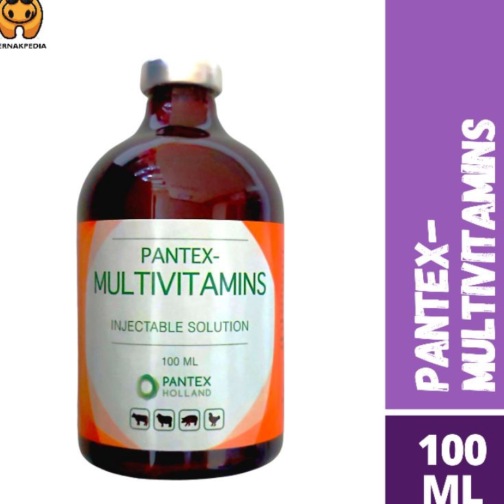 Lebih Irit  Pantex Multivitamin 1 ml  Multivitamin Pantex  Multivitamin Injeksi  Injeksi Multivitami