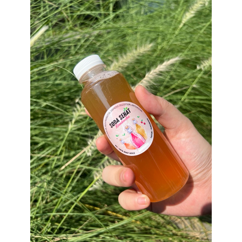 

Soda Sehat Kombucha teh fermentasi minuman kesehatan rasa mangga strawberry buah naga jeruk kiwi pandan butterflypea bunga talang