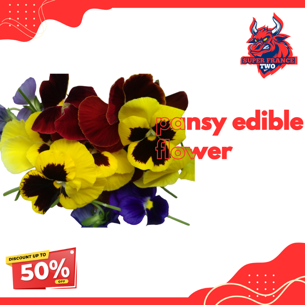 

BUNGA GARNISH / EDIBLE FLOWER PANSY / MIX EDIBLE PANSY