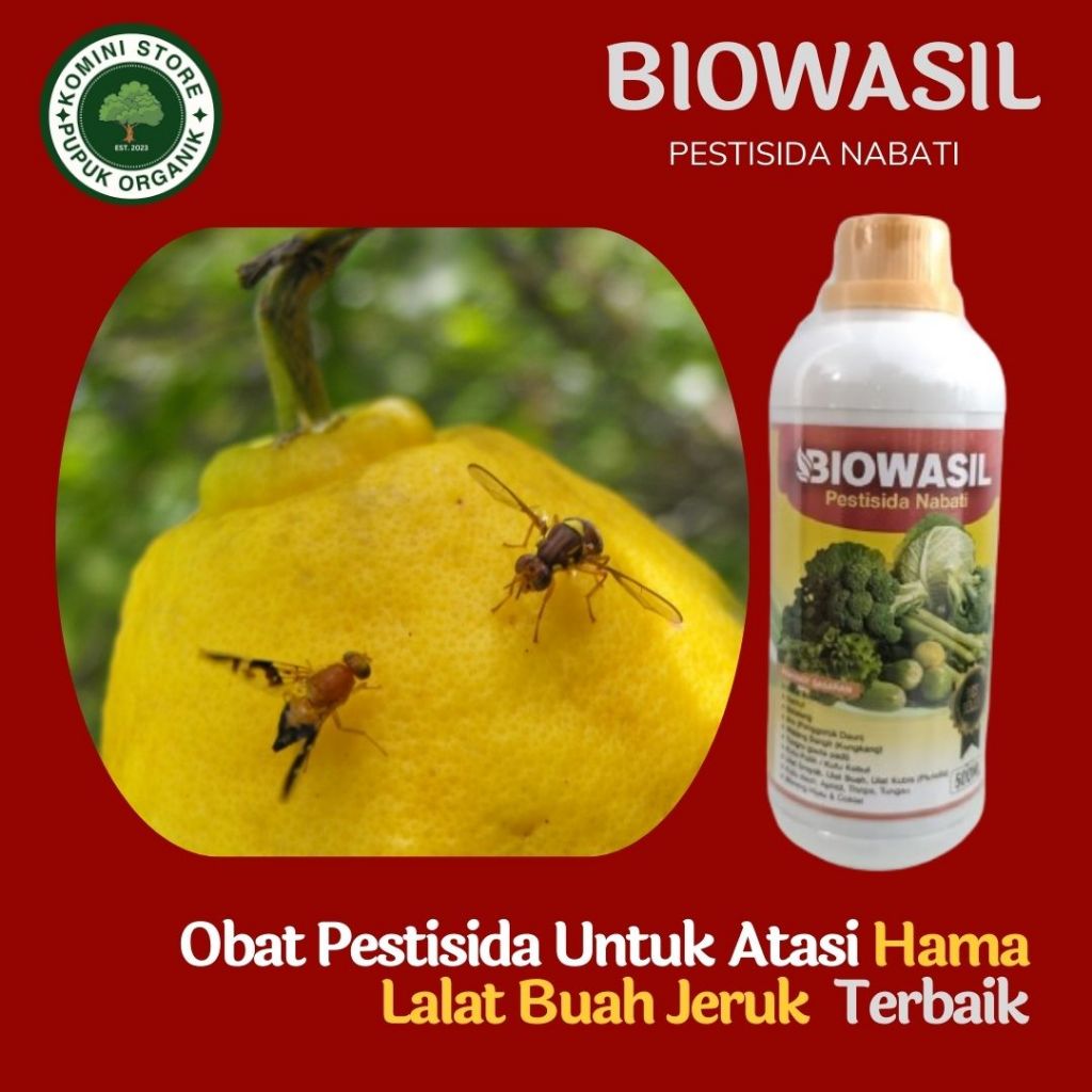 paling ampuh cod pupuk pestisida lalat buah jeruk terbaik - BIOWASIL - obat semprot basmi hama lalat