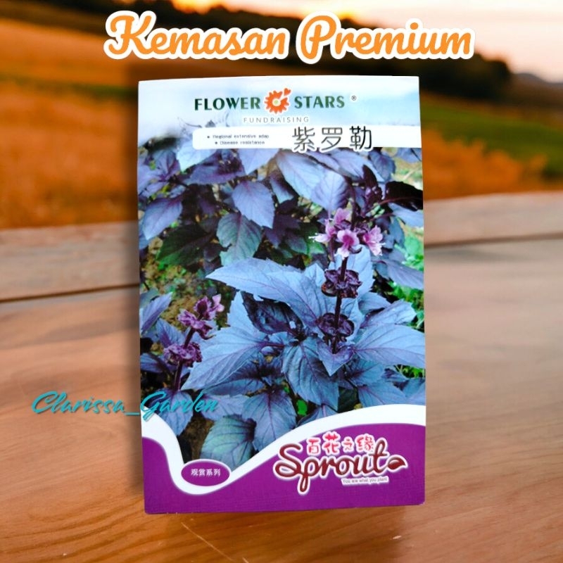(KEMASAN PREMIUM) BIJI/BENIH KEMANGI UNGU/PUPLE BASIL