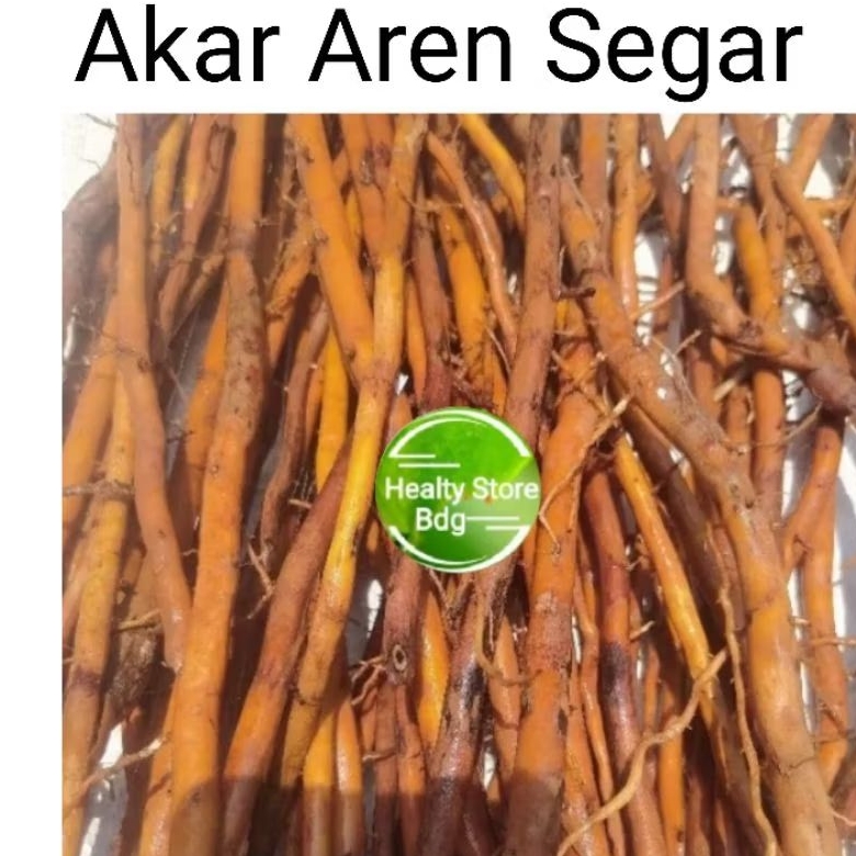 

Akar pohon aren Segar 500 Gram