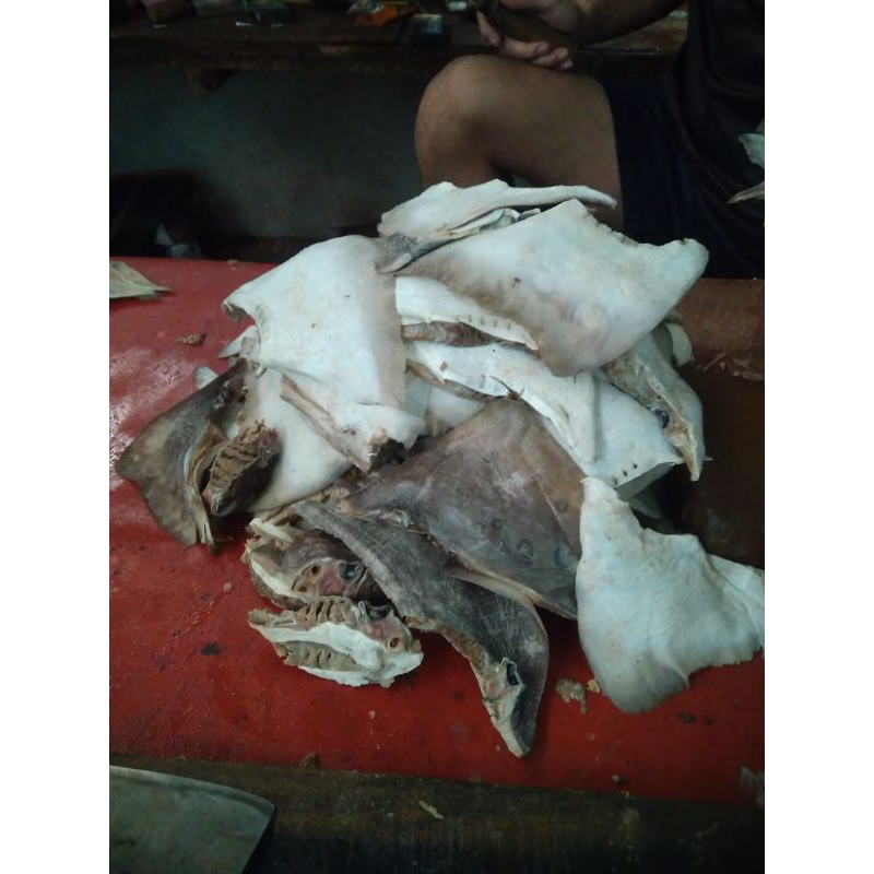 

ikan asin pe pari segar murah 500gr