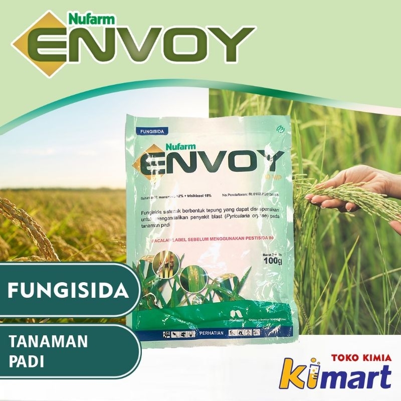 Fungisida tanaman padi ENVOY pengendali hama