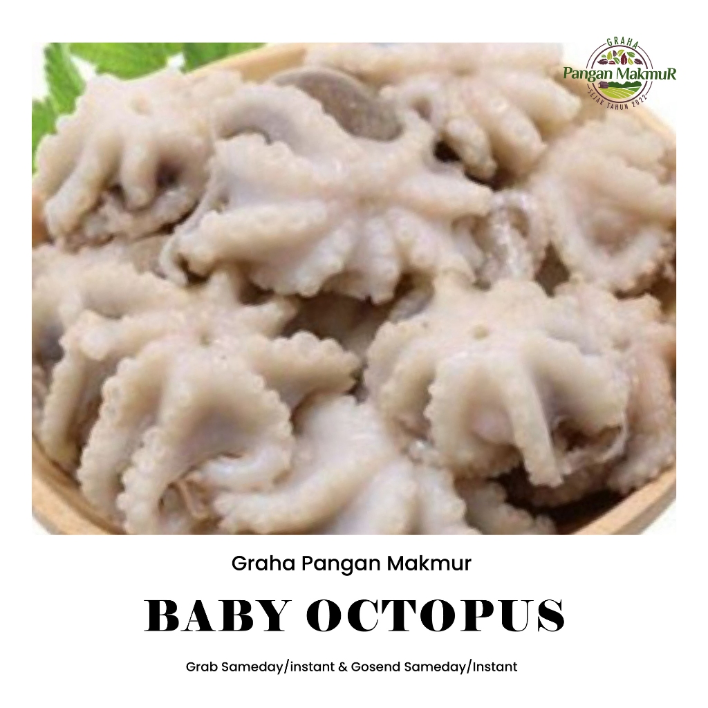 

( BISA PAKAI INSTAN ) BABY OCTOPUS 250GR / BABY GURITA KUALITAS PREMIUM