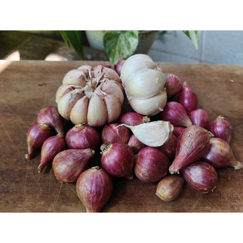 

paket bawang merah tanggung/sedang dan bawang putih sinco
