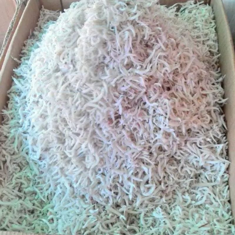 

promo teri nasi kecil 1kg