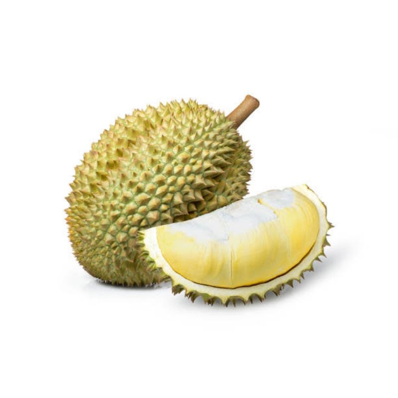 

durian lokal malang