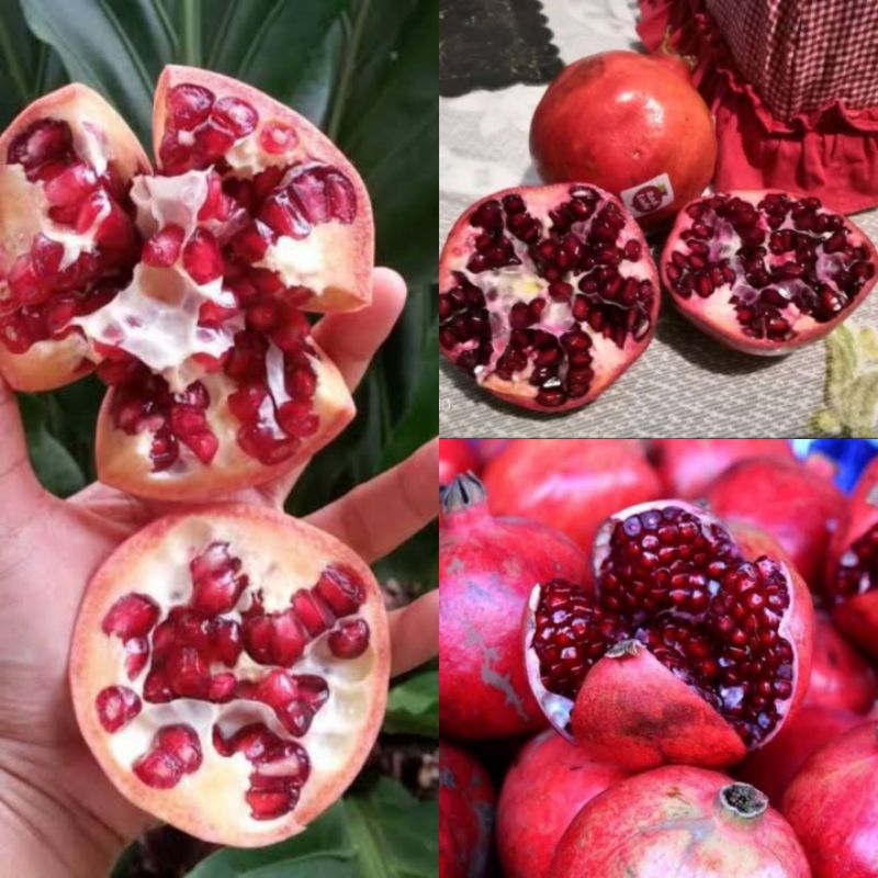 

Buah Delima Merah 1kg