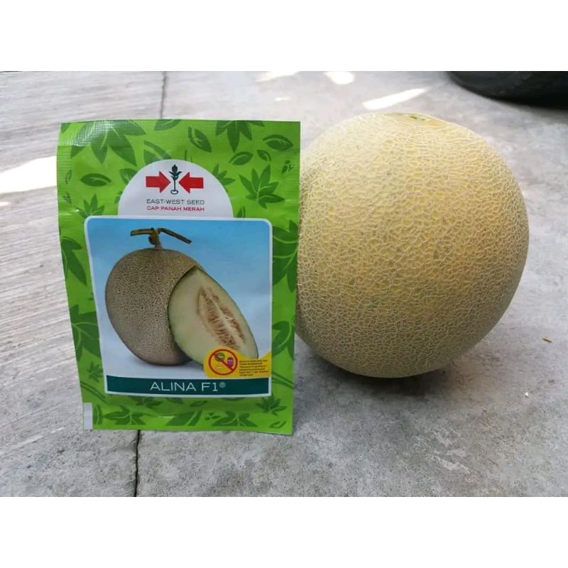Benih Bibit Melon Alina F1 Benih Melon Berkwalitas Berbobot dan Tahan Virus Isi 100 Butir (KEMASAN R