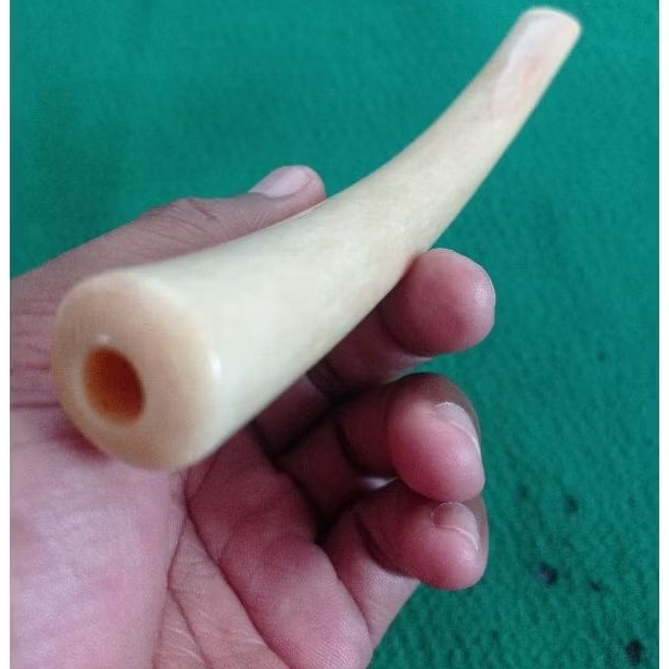 once tulang import mirip gading doyiung jumbo