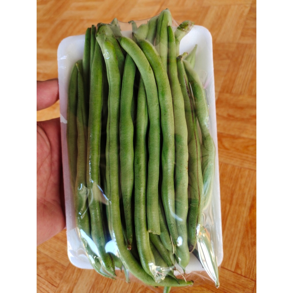 

Paket Sayur Oseng BUNCIS Siap masak pengiriman instan mulai 5000 5k segar fresh setiap hari