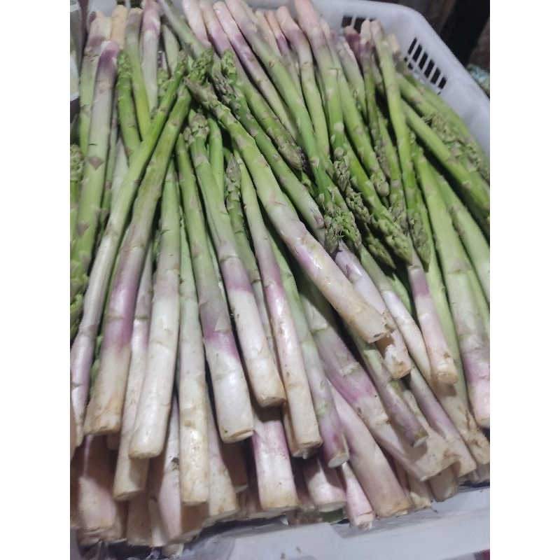 

asparagus 500grm