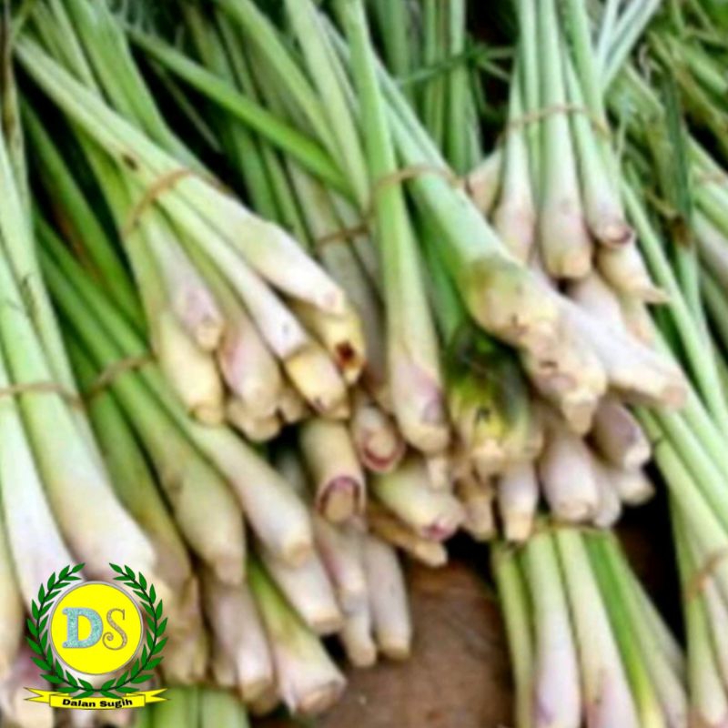 

Sereh / Serai 500 gr